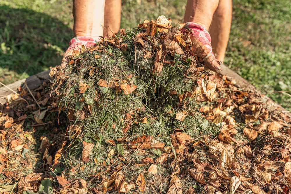 Compost heap of grass and leaves being lifted by man's hands